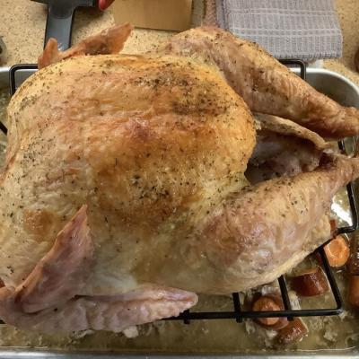 Fresh roasted turkey